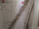 FURRER CARRARA